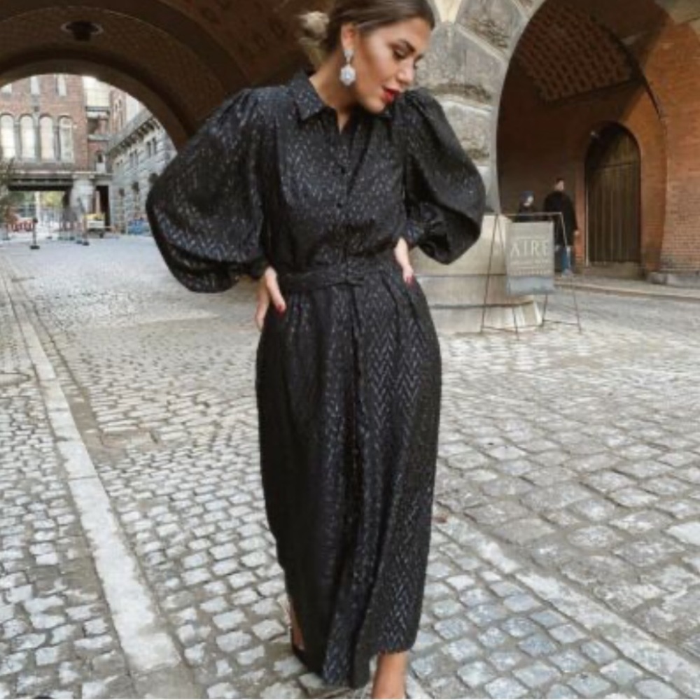(Zara) NWT- Gorgeous😍 dress with metallic thread
